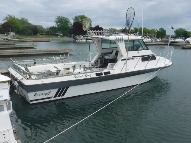 ERIEAU FISHING CHARTERS LAKE ERIE - Photo 3
