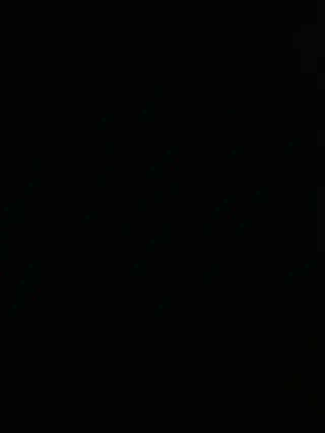 Team Lead MHE Operator