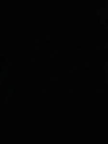 Team Lead MHE Operator