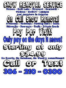 SNOW REMOVAL & SHOVELING