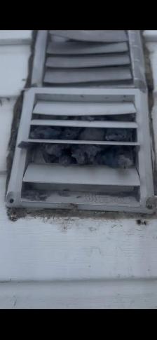dryer vent cleaning