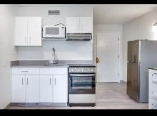 FULLY RENOVATED BACHELOR SUITE ROCKY MOUNTAIN HOUSE