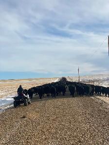 Ranch Help wanted - Photo 3