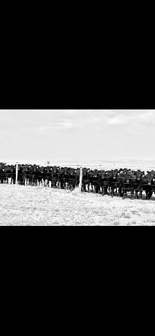 Ranch Help wanted - Photo 4