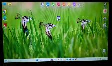 FAST Acer Nitro 5 Gaming Laptop - New Battery, 512GB NVME 500GB - Photo 2