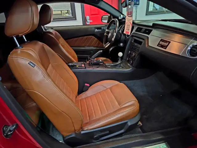 2010 Ford Mustang GT Manual Transmission/4.6L V8/BAMA Perform... - Photo 16