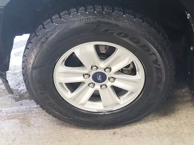 2018 Ford F-150 XL 4WD - Backup Cam, Fog Lights, Traction Contro - Photo 3