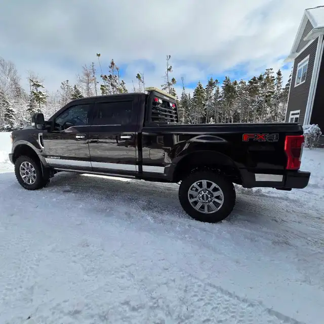 Ford F 250 Super Duty - Photo 3