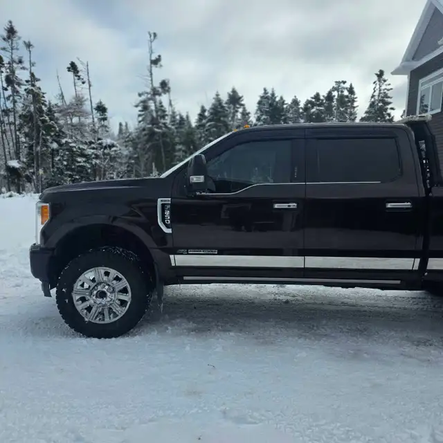 Ford F 250 Super Duty - Photo 4