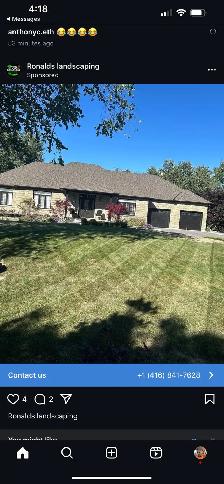 Grass cutting - Photo 2