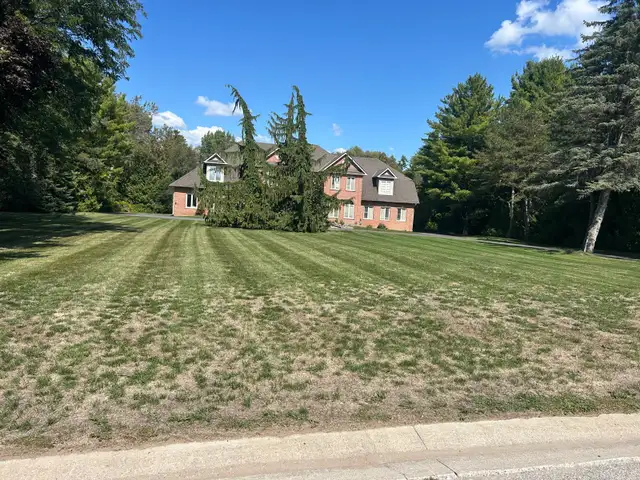 Grass cutting - Photo 3