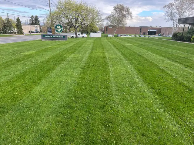 Grass cutting - Photo 4