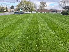 Grass cutting - Photo 4