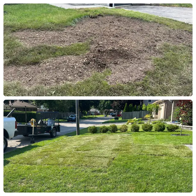 Grass cutting - Photo 5