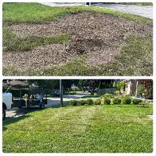 Grass cutting - Photo 5
