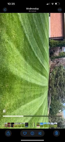 Grass cutting - Photo 6