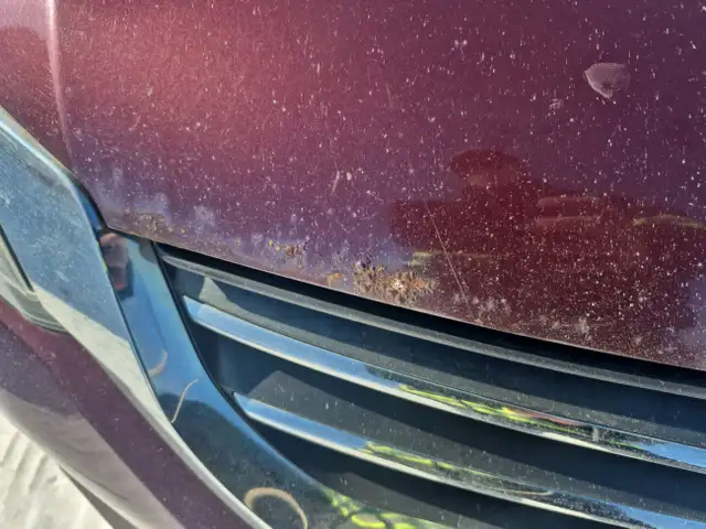 2015 Honda Accord - Photo 28