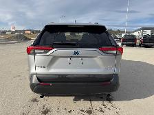 2022 Toyota RAV4 Hybrid LE LOW MILEAGE / HYBRID / AWD / REAR CAM - Photo 4