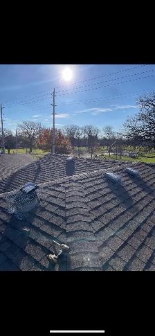 Brothers Wildlife Removal- Squirrels, Skunks, Raccoons - Photo 5