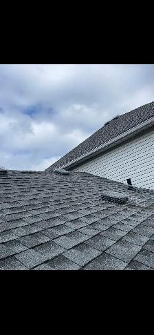 Brothers Wildlife Removal- Squirrels, Skunks, Raccoons - Photo 8