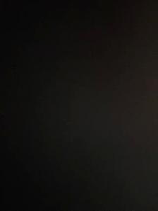 DZ DRIVER NEEDED IN HAMILTON