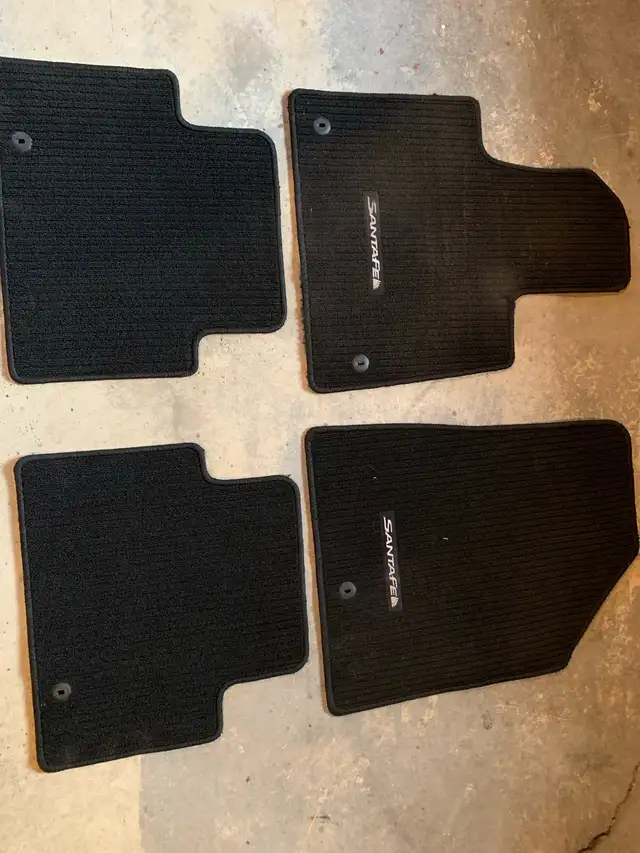 2015 Santa Fe Floor Mats - Photo 2