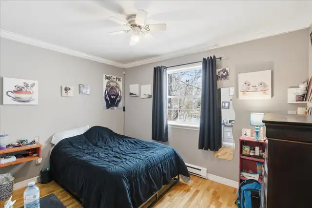 Beautiful 3 Bed, 1.5 Bath Bungalow with 2 Garages in Sunny CBS! - Photo 6