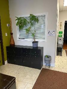 Hourly Rent-Studio Space (Markham Rd) - Photo 7