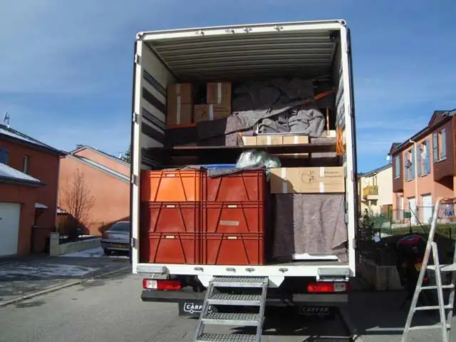 PUNAISES DE LIT - Photo 4