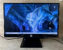Moniteur HP Pavilion 22bw 21,5 po Full HD 1920 x 1080 HDMI VGA