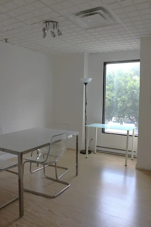 Nouveau local spacieux à louer au cœur de la Plaza Saint-Hubert - Photo 3