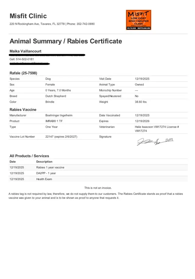 BERGER HOLLANDAIS UKC - Photo 2