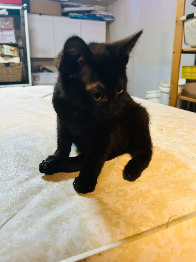 Miss princess handicapable! - Photo 2