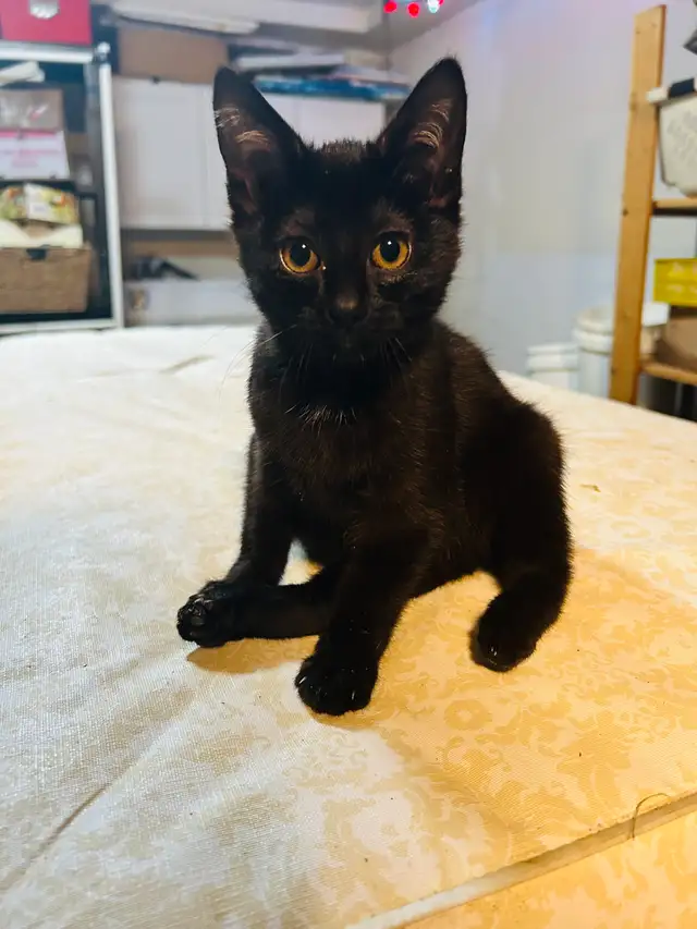 Miss princess handicapable! - Photo 3