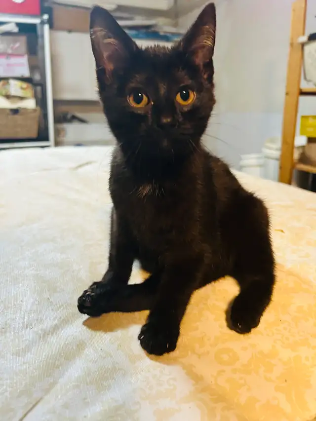 Miss princess handicapable! - Photo 4