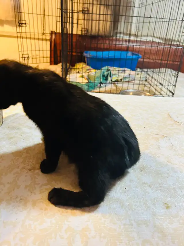 Miss princess handicapable! - Photo 5