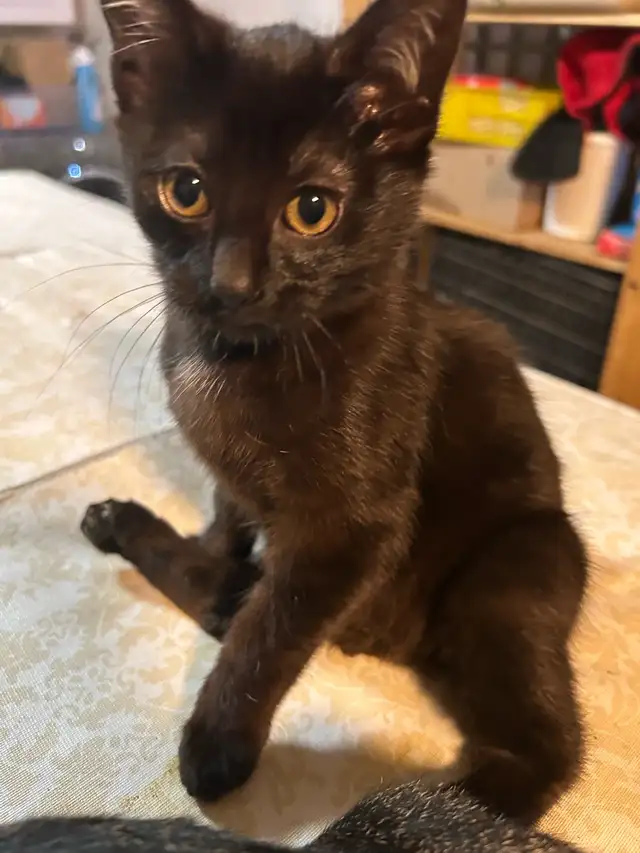 Miss princess handicapable! - Photo 7