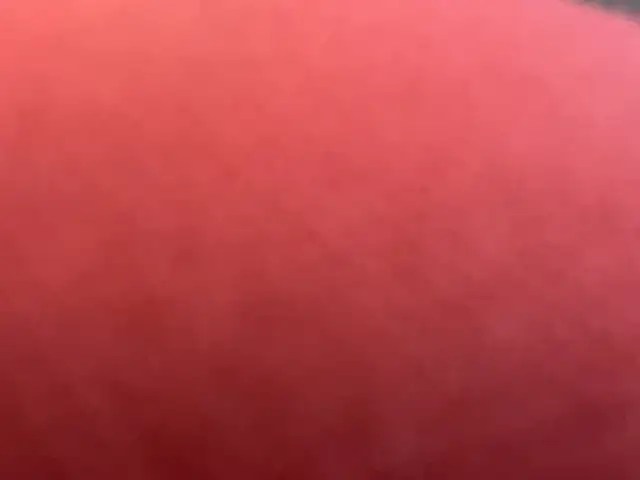 adopción gato - Photo 2