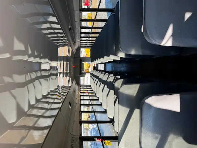 2015 Lion 360 School Bus