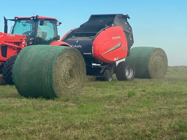 Excellent Quality Alfalfa Hay