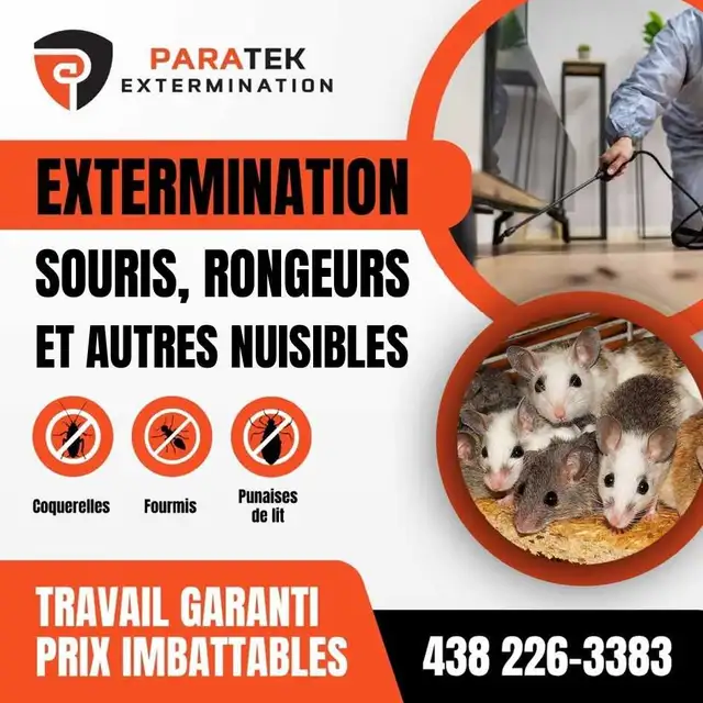 exterminateur Laval