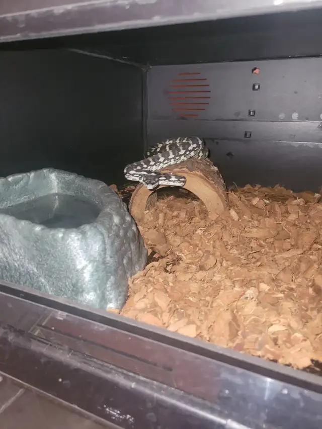 Jungle/costal 50% axantic - Photo 2