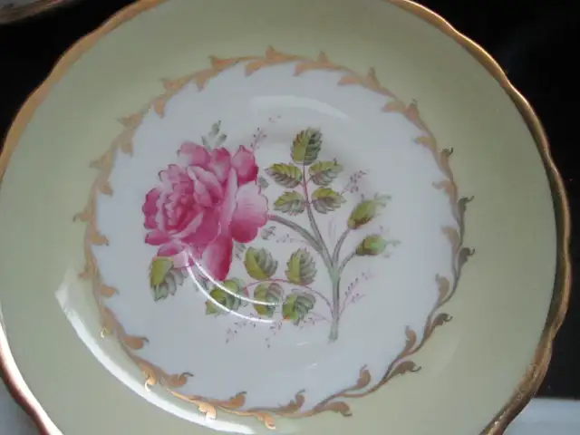 Tuscan DOVEDALE fine bone china - Photo 2