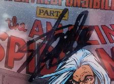 The Amazing Spider-Man Comic Signed by Stan Lee & Mark Bagley - Photo 2