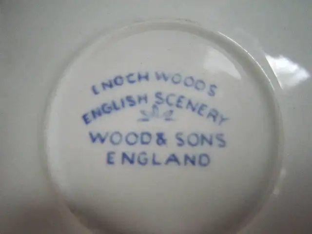 Wood & Sons, Enoch Wood ENGLISH SCENARY china - Photo 3