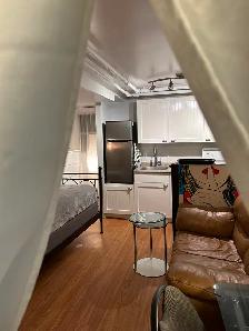 Ottawa Centretown–Tiny Little Heaven Furnished Basement Studio A - Photo 5