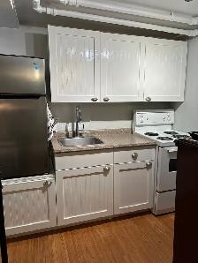 Ottawa Centretown–Tiny Little Heaven Furnished Basement Studio A - Photo 6