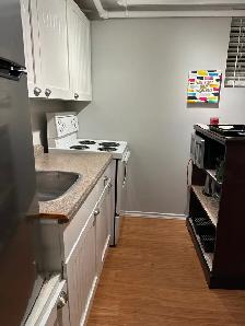 Ottawa Centretown–Tiny Little Heaven Furnished Basement Studio A - Photo 7