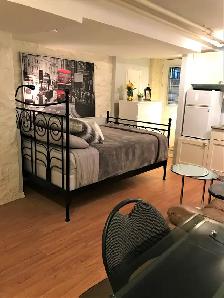 Ottawa Centretown–Tiny Little Heaven Furnished Basement Studio A - Photo 9