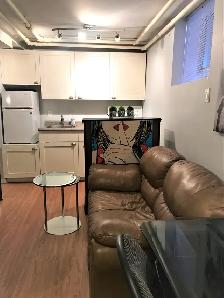 Ottawa Centretown–Tiny Little Heaven Furnished Basement Studio A - Photo 10